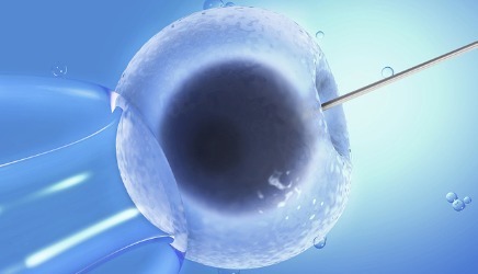 林教授